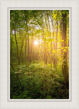 Load image into Gallery viewer, Sweet Hour of Prayer