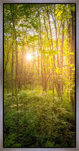 Load image into Gallery viewer, Sweet Hour of Prayer