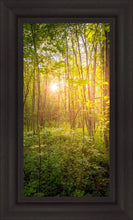 Load image into Gallery viewer, Sweet Hour of Prayer