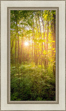 Load image into Gallery viewer, Sweet Hour of Prayer
