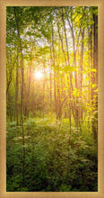 Load image into Gallery viewer, Sweet Hour of Prayer