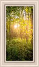 Load image into Gallery viewer, Sweet Hour of Prayer