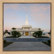Load image into Gallery viewer, Orlando Temple Pathway