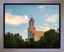 Load image into Gallery viewer, Cedar City Temple Juniper
