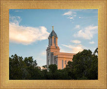 Load image into Gallery viewer, Cedar City Temple Juniper