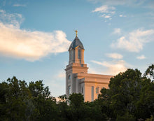 Load image into Gallery viewer, Cedar City Temple Juniper