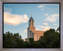 Load image into Gallery viewer, Cedar City Temple Juniper