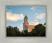 Load image into Gallery viewer, Cedar City Temple Juniper