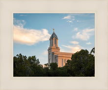 Load image into Gallery viewer, Cedar City Temple Juniper