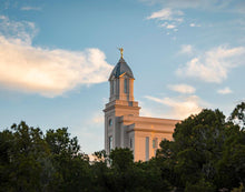 Load image into Gallery viewer, Cedar City Temple Juniper