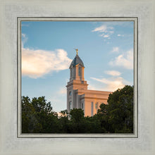 Load image into Gallery viewer, Cedar City Temple Juniper