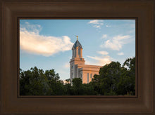 Load image into Gallery viewer, Cedar City Temple Juniper