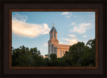 Load image into Gallery viewer, Cedar City Temple Juniper