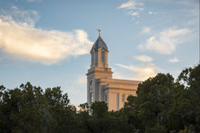 Load image into Gallery viewer, Cedar City Temple Juniper