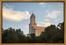 Load image into Gallery viewer, Cedar City Temple Juniper