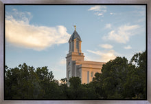 Load image into Gallery viewer, Cedar City Temple Juniper