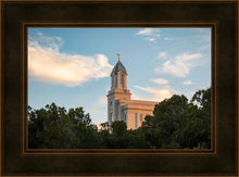 Load image into Gallery viewer, Cedar City Temple Juniper