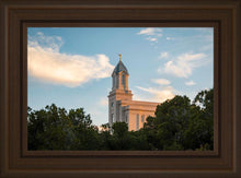 Load image into Gallery viewer, Cedar City Temple Juniper