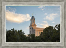 Load image into Gallery viewer, Cedar City Temple Juniper
