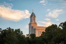Load image into Gallery viewer, Cedar City Temple Juniper