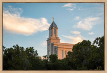 Load image into Gallery viewer, Cedar City Temple Juniper