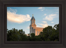 Load image into Gallery viewer, Cedar City Temple Juniper