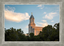 Load image into Gallery viewer, Cedar City Temple Juniper