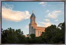 Load image into Gallery viewer, Cedar City Temple Juniper