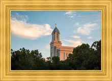 Load image into Gallery viewer, Cedar City Temple Juniper