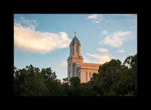 Load image into Gallery viewer, Cedar City Temple Juniper