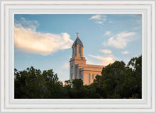 Load image into Gallery viewer, Cedar City Temple Juniper