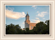 Load image into Gallery viewer, Cedar City Temple Juniper