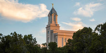 Load image into Gallery viewer, Cedar City Temple Juniper