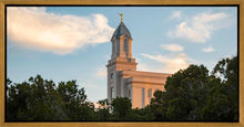 Load image into Gallery viewer, Cedar City Temple Juniper