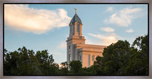 Load image into Gallery viewer, Cedar City Temple Juniper