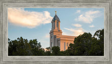 Load image into Gallery viewer, Cedar City Temple Juniper