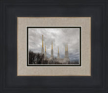 Load image into Gallery viewer, Washington DC Through Life's Storms