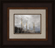 Load image into Gallery viewer, Washington DC Through Life's Storms