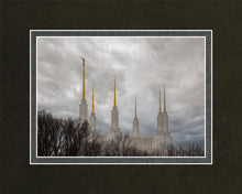 Load image into Gallery viewer, Washington DC Through Life's Storms