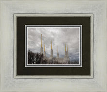 Load image into Gallery viewer, Washington DC Through Life's Storms