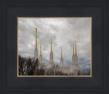 Load image into Gallery viewer, Washington DC Through Life's Storms