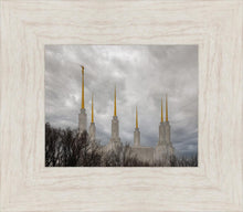 Load image into Gallery viewer, Washington DC Through Life's Storms