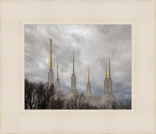 Load image into Gallery viewer, Washington DC Through Life's Storms