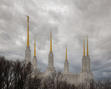 Load image into Gallery viewer, Washington DC Through Life's Storms