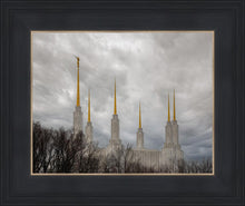 Load image into Gallery viewer, Washington DC Through Life's Storms