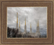 Load image into Gallery viewer, Washington DC Through Life's Storms