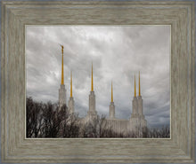 Load image into Gallery viewer, Washington DC Through Life's Storms