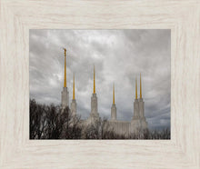 Load image into Gallery viewer, Washington DC Through Life's Storms