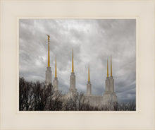 Load image into Gallery viewer, Washington DC Through Life's Storms
