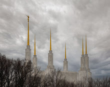 Load image into Gallery viewer, Washington DC Through Life's Storms